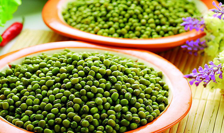Distributor Kacang Hijau - Supplier Kacang Hijau - Green Mung Bean - PT. Karya Baru Indonesia
