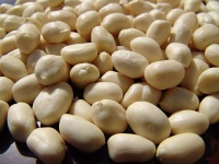 Jual Kacang Tanah Kupas - Supplier Kacang Tanah Kupas